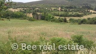 Αγροτεμάχια 7.000 τ.μ. για πώληση
