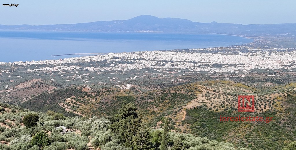 Αγροτεμάχια 17.000 τ.μ. πρός πώληση, Μεσσηνία, Καλαμάτα