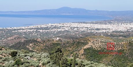 Αγροτεμάχια 17.000 τ.μ. για πώληση
