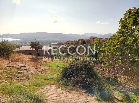 Land plot 7.400sqm for sale-Karistos » Grampia