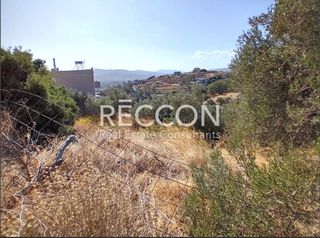 Οικόπεδο 7.400 τ.μ. για πώληση, Εύβοια, Κάρυστος-thumb-12
