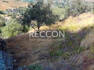 Οικόπεδο 7.400 τ.μ. για πώληση, Εύβοια, Κάρυστος-thumb-11