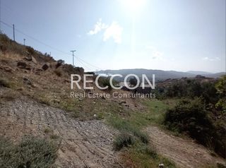 Οικόπεδο 7.400 τ.μ. για πώληση, Εύβοια, Κάρυστος-thumb-8