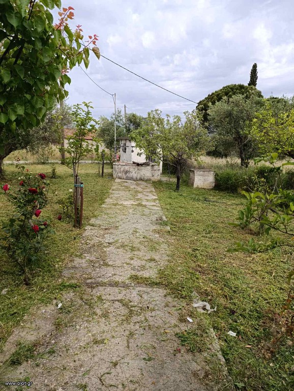 Μονοκατοικία 120 τ.μ. πρός πώληση, Αχαΐα, Φαρές