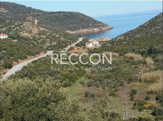 Οικόπεδο 2.490 τ.μ. για πώληση, Εύβοια, Στύρα-thumb-7