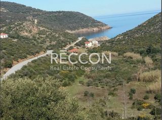 Οικόπεδο 2.490 τ.μ. για πώληση, Εύβοια, Στύρα-thumb-9