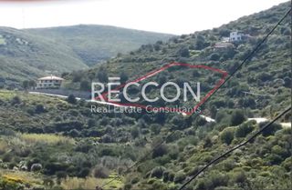 Οικόπεδο 2.490 τ.μ. για πώληση, Εύβοια, Στύρα-thumb-8