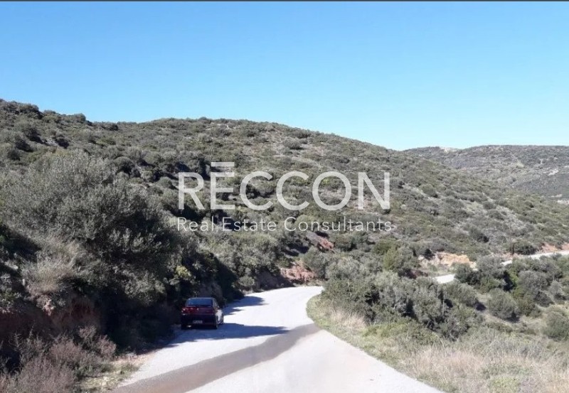 Οικόπεδο 2.490 τ.μ. προς πώληση, Τσακαίοι