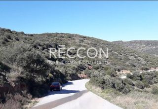 Οικόπεδο 2.490 τ.μ. για πώληση, Εύβοια, Στύρα-thumb-4