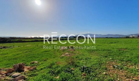 Parcel 5.080sqm for sale-Paros » Kampos