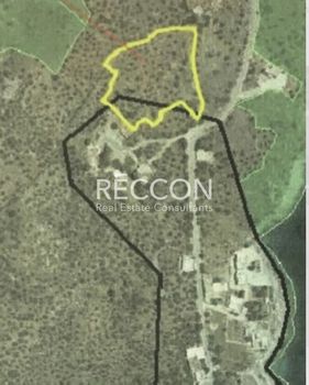 Parcel 7.260sqm for sale-East Mani » Kokkala