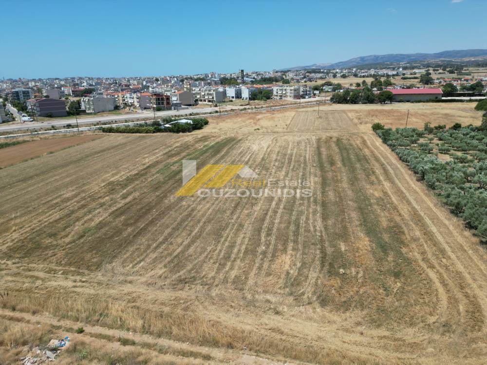 Αγροτεμάχια 10.000 τ.μ. πρός πώληση, Εβρος, Αλεξανδρούπολη
