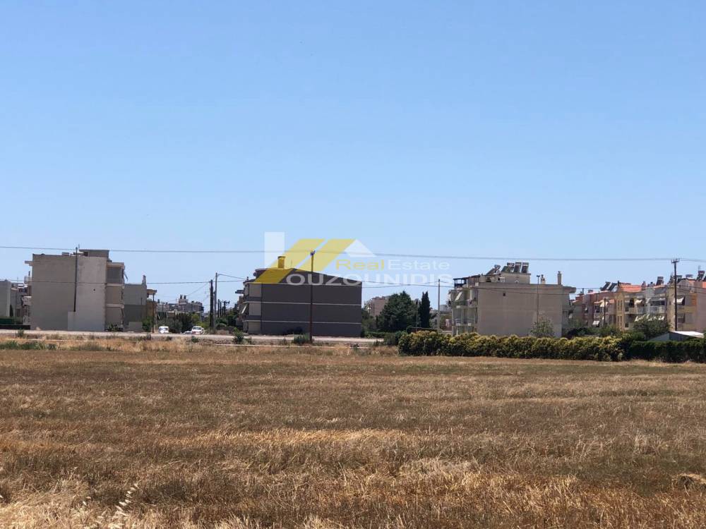 Αγροτεμάχια 10.000 τ.μ. πρός πώληση, Εβρος, Αλεξανδρούπολη