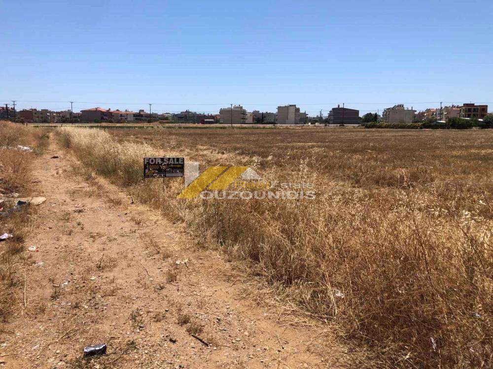 Αγροτεμάχια 10.000 τ.μ. πρός πώληση, Εβρος, Αλεξανδρούπολη