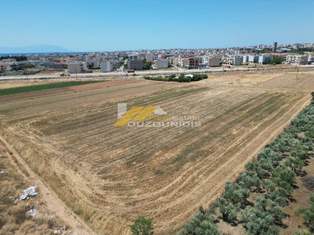 Αγροτεμάχια 10.000 τ.μ. πρός πώληση, Εβρος, Αλεξανδρούπολη
