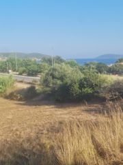 Οικόπεδο 4.530 τ.μ. προς πώληση, Κοκκινιά Μεθώνης-thumb-4
