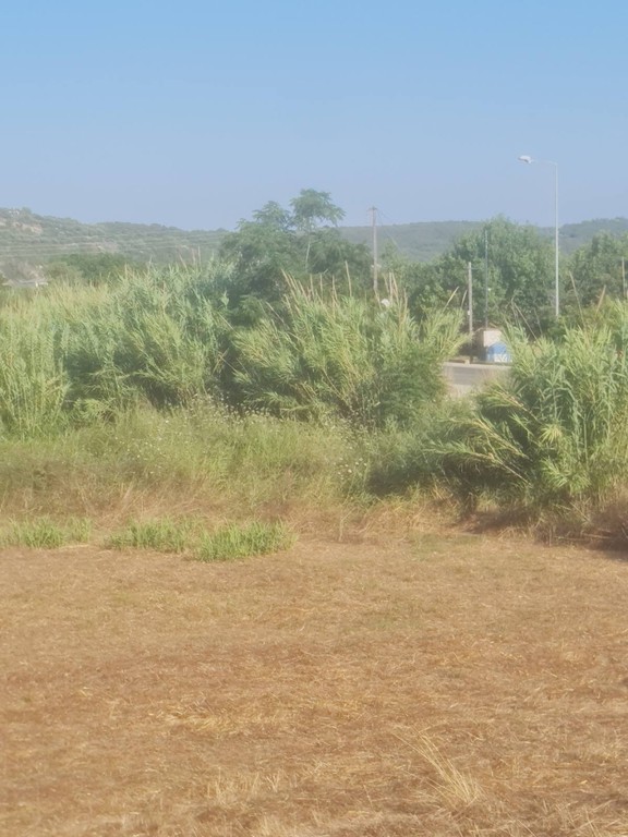 Οικόπεδο 4.530 τ.μ. προς πώληση, Κοκκινιά Μεθώνης