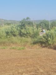 Οικόπεδο 4.530 τ.μ. προς πώληση, Κοκκινιά Μεθώνης-thumb-3