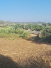 Οικόπεδο 4.530 τ.μ. προς πώληση, Κοκκινιά Μεθώνης-thumb-13