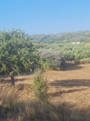 Οικόπεδο 4.530 τ.μ. προς πώληση, Κοκκινιά Μεθώνης-thumb-8