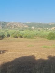 Οικόπεδο 4.530 τ.μ. προς πώληση, Κοκκινιά Μεθώνης-thumb-12