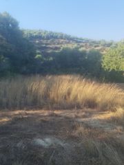 Οικόπεδο 4.530 τ.μ. προς πώληση, Κοκκινιά Μεθώνης-thumb-9