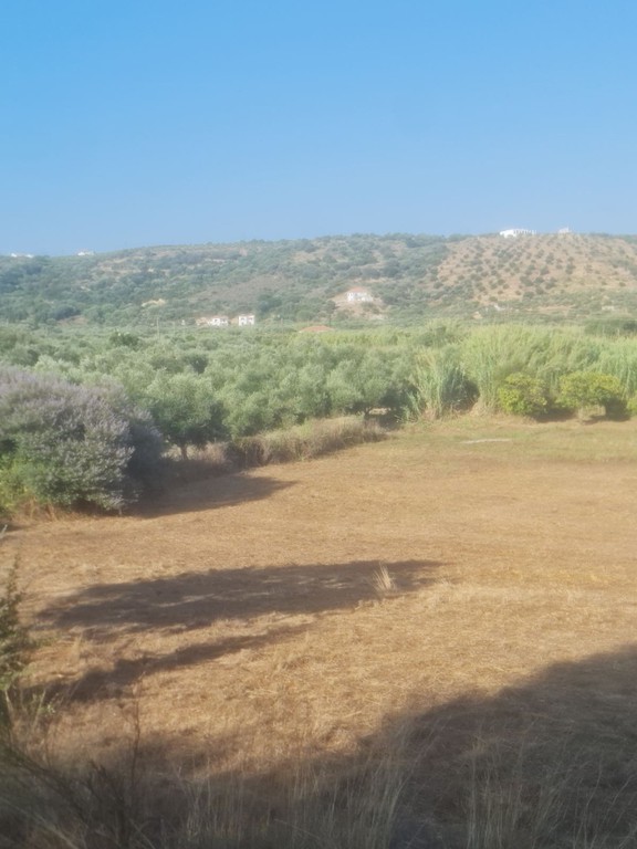 Οικόπεδο 4.530 τ.μ. προς πώληση, Κοκκινιά Μεθώνης