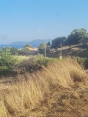 Οικόπεδο 4.530 τ.μ. προς πώληση, Κοκκινιά Μεθώνης-thumb-6