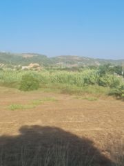 Οικόπεδο 4.530 τ.μ. προς πώληση, Κοκκινιά Μεθώνης-thumb-10