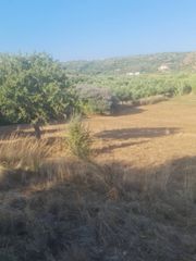 Οικόπεδο 4.530 τ.μ. προς πώληση, Κοκκινιά Μεθώνης-thumb-11
