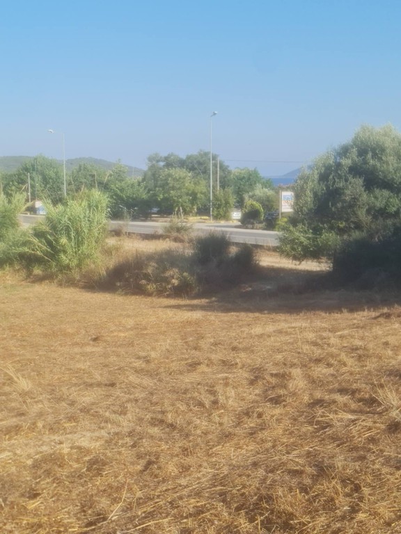 Οικόπεδο 4.530 τ.μ. προς πώληση, Κοκκινιά Μεθώνης