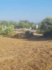 Οικόπεδο 4.530 τ.μ. προς πώληση, Κοκκινιά Μεθώνης-thumb-2