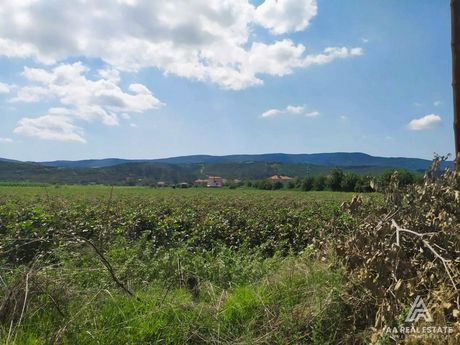 Parcel 19.863sqm for sale-Anthemountas » Galarinos