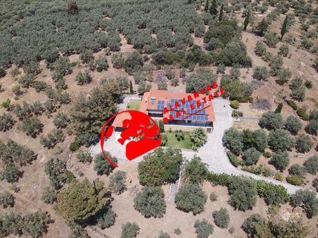 Μονοκατοικία 120τ.μ. για πώληση-Αλεξανδρούπολη » Μάκρη