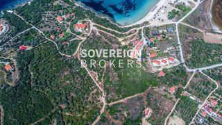 Αγροτεμάχια 7.648 τ.μ. για πώληση