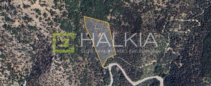Αγροτεμάχια 9.028 τ.μ. πρός πώληση, Μαγνησία, Αγριά