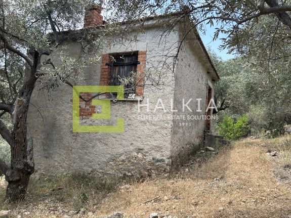 Αγροτεμάχια 9.028 τ.μ. για πώληση, Μαγνησία, Αγριά