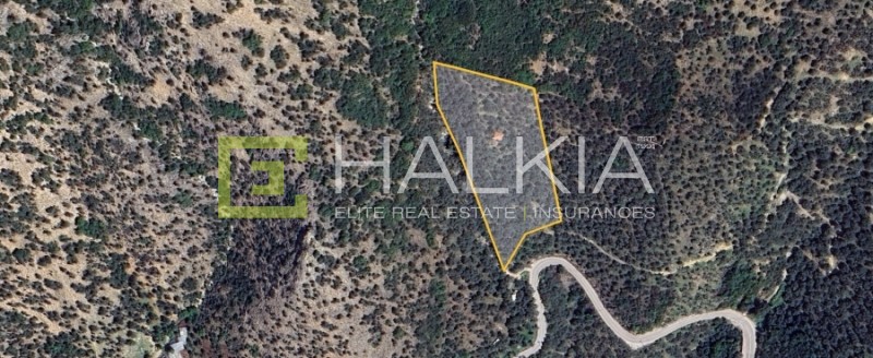 Αγροτεμάχια 9.028 τ.μ. πρός πώληση, Μαγνησία, Αγριά