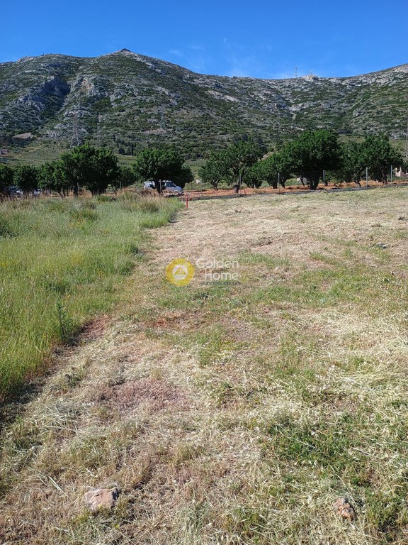 Οικόπεδο 621 τ.μ. προς πώληση, Κέντρο Κερατέας