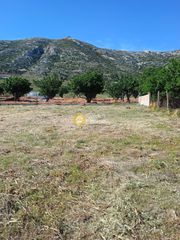 Οικόπεδο 621 τ.μ. πρός πώληση, Αττική - Υπόλοιπο, Κερατέα-thumb-14