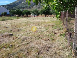 Οικόπεδο 621 τ.μ. πρός πώληση, Αττική - Υπόλοιπο, Κερατέα-thumb-7