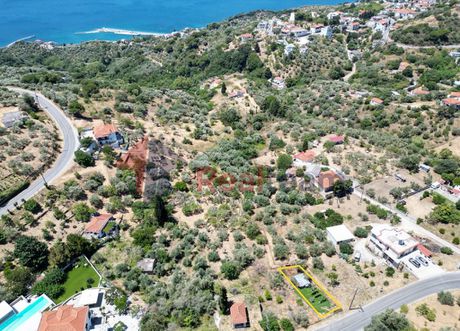 Αγροτεμάχια 240τ.μ. για πώληση-Σκόπελος