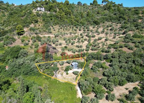 Μονοκατοικία 65τ.μ. για πώληση-Σκόπελος