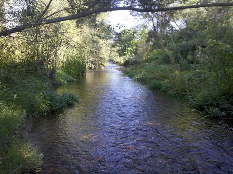 Αγροτεμάχια 9.800 τ.μ. για πώληση