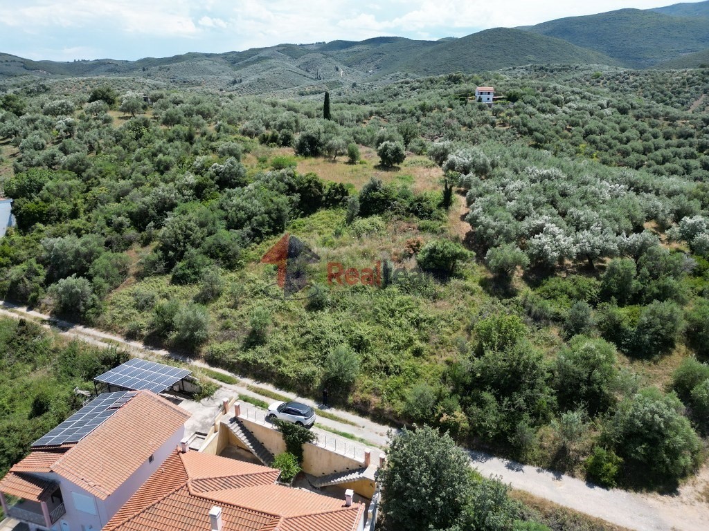 Οικόπεδο 460 τ.μ. προς πώληση, Μαγνησία, Πτελεός