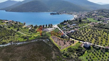 Οικόπεδο 3.396τ.μ. για πώληση-Πτελεός