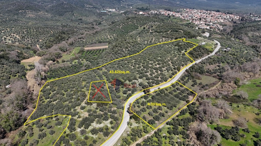 Αγροτεμάχια 48.000 τ.μ. πρός πώληση, Μαγνησία, Πτελεός