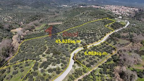 Parcel 50.609sqm for sale-Pteleos