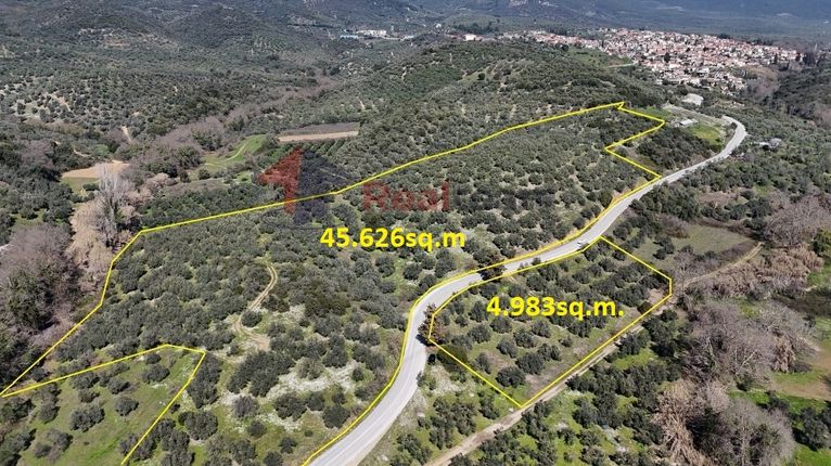 Αγροτεμάχια 50.609 τ.μ. για πώληση, Μαγνησία, Πτελεός