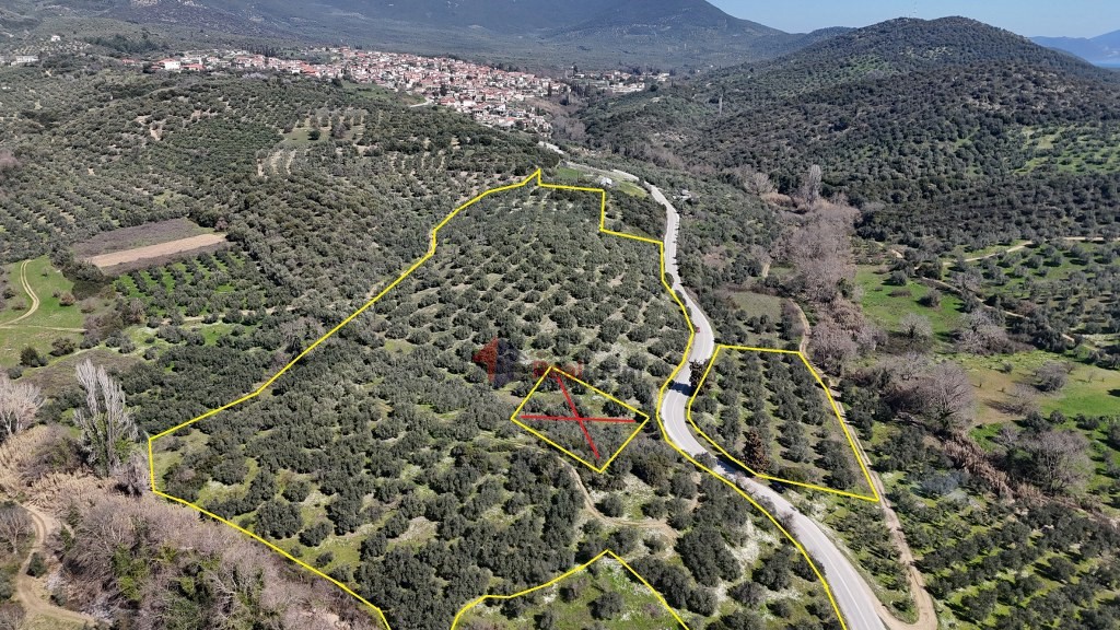 Αγροτεμάχια 48.000 τ.μ. πρός πώληση, Μαγνησία, Πτελεός